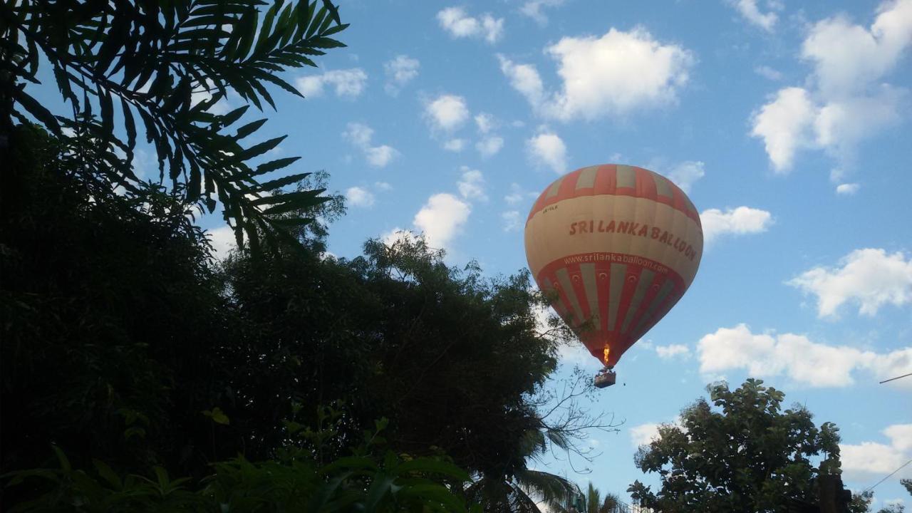 Nilambara Lake View Dambulla Exteriér fotografie